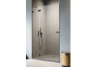 Двері душові для ніши Radaway Essenza Pro Black DWJ 120, ліве, 1200x2000mm, чорний profil
