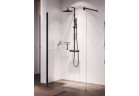 Душова стінка Walk-In Novellini Giada H, 110x195cm, скло прозоре, срібний профіль