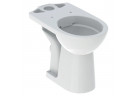 Geberit Selnova Comfort Підлогова раковина WC do spłuczki nasadzanej, туалет, 35.5x65.5cm, podwyższona, злив горизонтальний, Rimfree