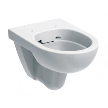 Geberit Selnova Навісна раковина WC, туалет, B35.8cm, H33.2cm, T53cm