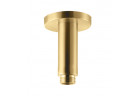 Тримач настельний для пристінного душу Vema Otago,довжина 10cm, brushed gold