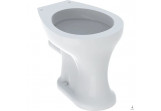 Підлогова раковина WC з полицею, Geberit Bambini, біла