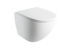 Раковина WC Omnires Ottawa Comfort 54x36,5 cm навісна, bezkołnierzowa, з сидінням з мікроліфтом - білий мат.