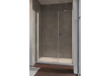 Двері душові Radaway Nes KDS II 120, ліве, 1200x2000mm, срібний profil