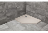 П ятикутний душевий піддон лівий Radaway Doros PT E 100x80cm білий