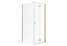 Двері душові Radaway Nes Gold KDJ B 100, складані, праве, 1000x2000mm - скло прозоре, profil золотий глянець
