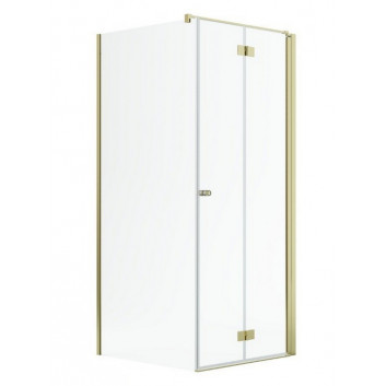Двері душові Radaway Nes Gold KDJ B 100, складані, ліве, 1000x2000mm - скло прозоре, profil золотий глянець