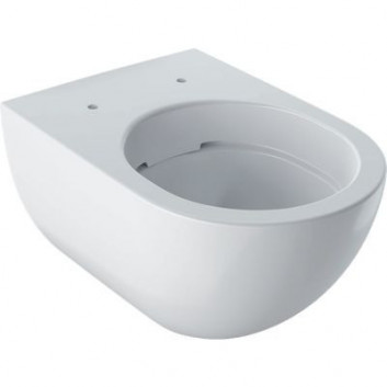 Раковина wc Geberit Acanto навісна 53x35 cm, туалет, ukryte mocowania, TurboFlush, з покриттям KeraTect - біла