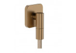 Фіксований душовий комплект Hansgrohe Raindance Alive Select S 125 3jet EcoSmart z tekstylnym wężem Designflex 160 cm - бронзове напилення