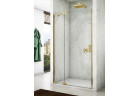 Двері душові Ronal Cadura CA13 ліве, 90x200 cm, односекційні зі сталим елементом w linii - скло прозорі, profil золотий