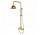 Душовий комплект Besco Retro - золотий