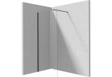 Душова стінка Deante Prozma walk-in 110x195 cm - скло транспарентні, profil чорний мат.