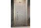 Двері душові Radaway Nes KDS II 120, ліве, 1200x2000mm, срібний profil