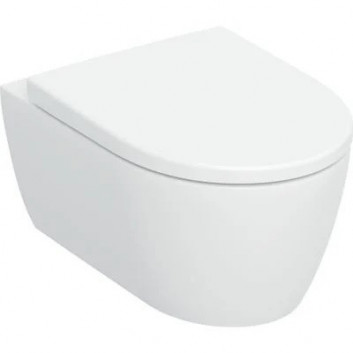 Раковина WC навісна Geberit iCon 53x36 cm, bez kołnierza, spłukiwanie wirowe з сидінням з мікроліфтом - біла
