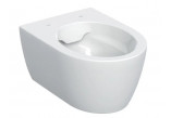 Раковина WC навісна Geberit iCon 53x36 cm, bez kołnierza, spłukiwanie wirowe з сидінням з мікроліфтом - біла