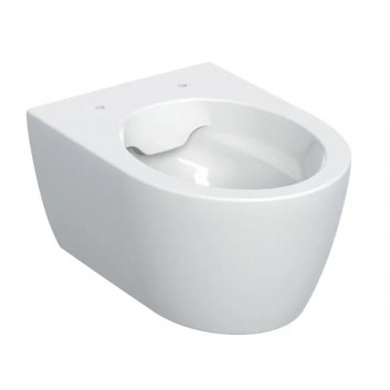 Раковина WC навісна Geberit iCon 53x36 cm, bez kołnierza, spłukiwanie wirowe з сидінням з мікроліфтом - біла