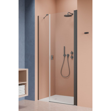 Двері душові Radaway Nes KDS II 120, ліве, 1200x2000mm, срібний profil