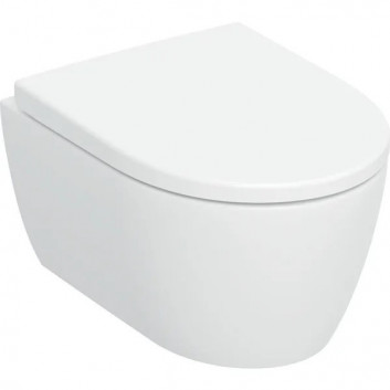 Раковина WC навісна Geberit iCon 53x36 cm, bez kołnierza, spłukiwanie wirowe з сидінням з мікроліфтом - біла